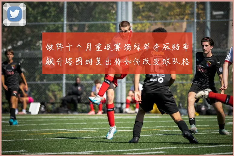 缺阵十个月重返赛场绿军夺冠赔率飙升塔图姆复出将如何改变球队格局
